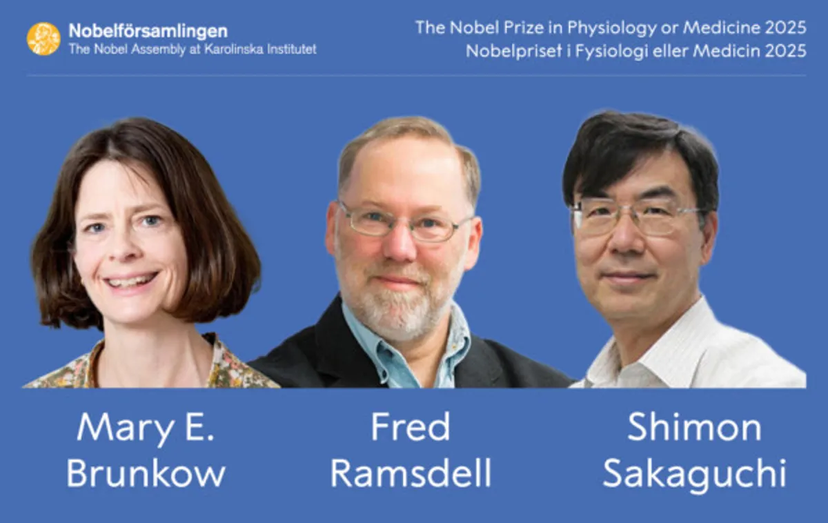 Những điều cần biết về Giải Nobel 2025 - Ảnh 1.